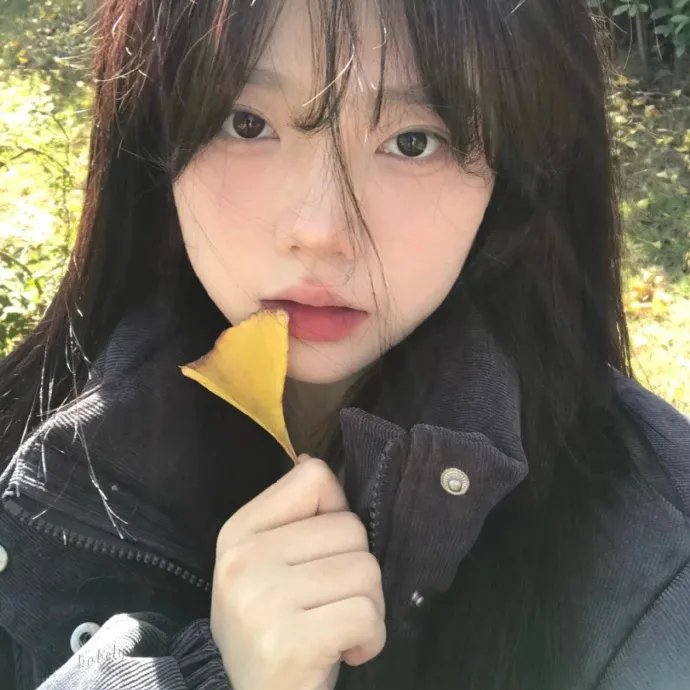 恋爱吧,寨主